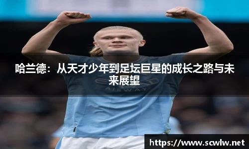 雷火电竞官方网站入口